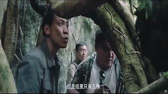 国产野战视频在线观看